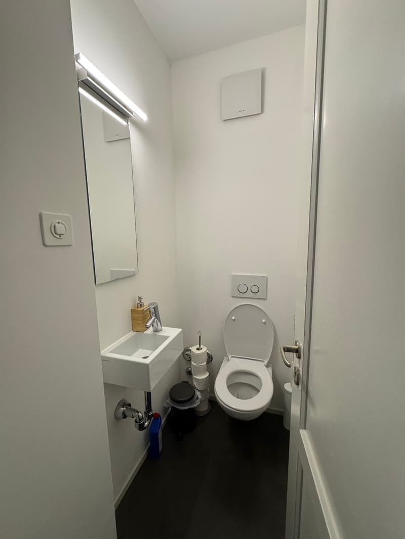 Furnished room in a shared 3.5-room flat  Zürich Enge (7)