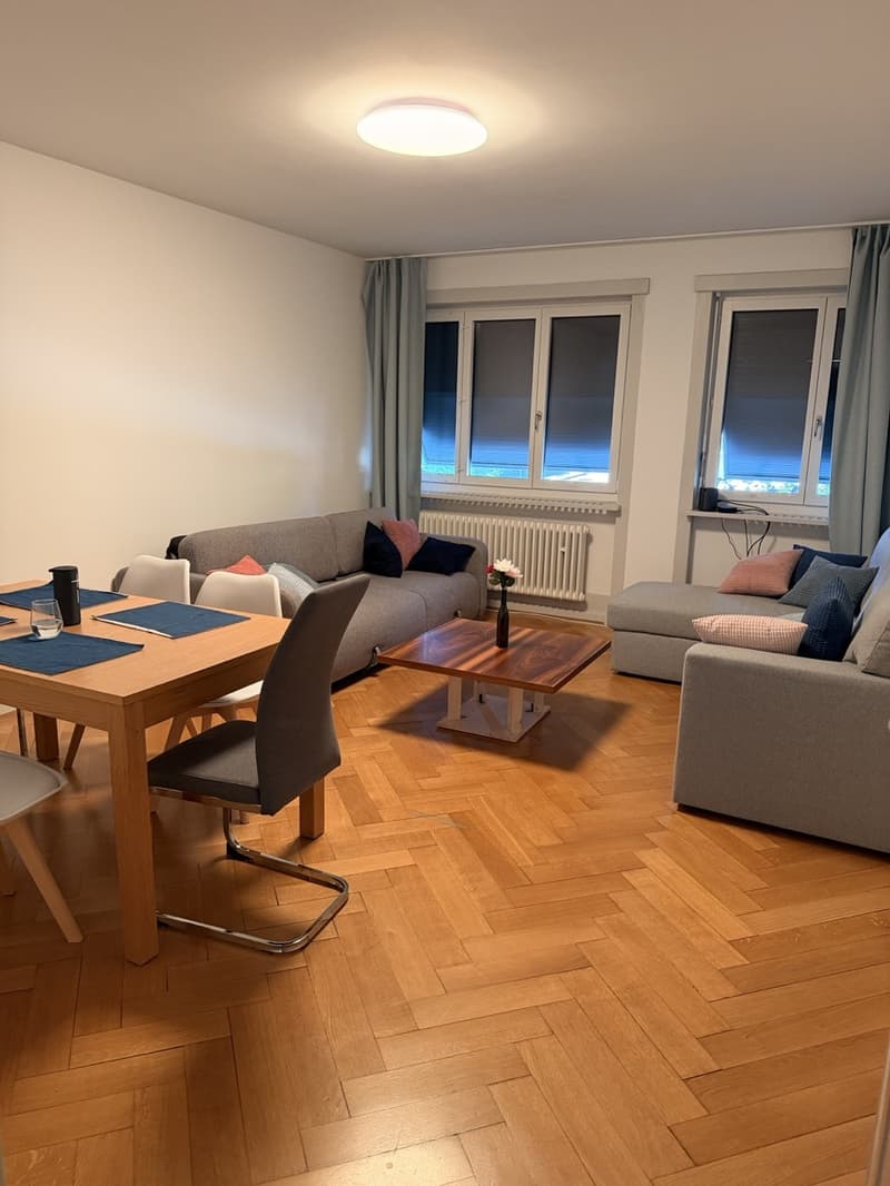 Furnished room in a shared 3.5-room flat  Zürich Enge (4)