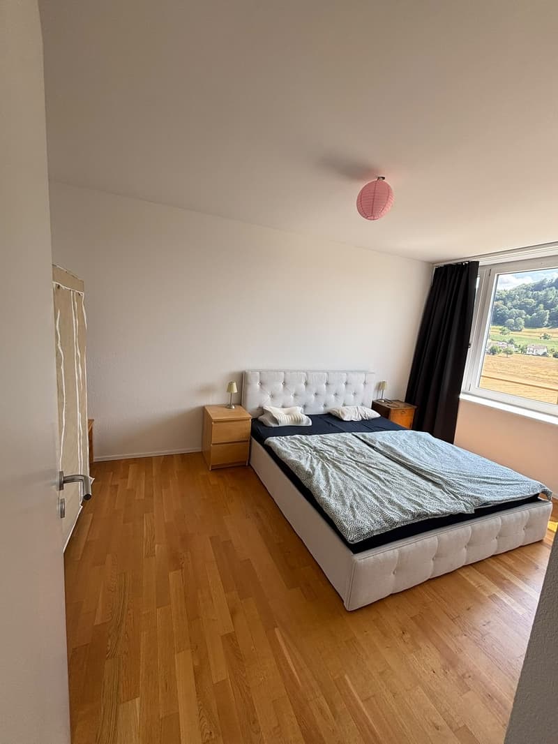 2,5 Zimmer Attikawohnung, Nachmieter/in ab 1.10.26 gesucht (4)