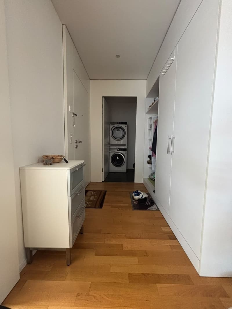 2,5 Zimmer Attikawohnung, Nachmieter/in ab 1.10.26 gesucht (5)