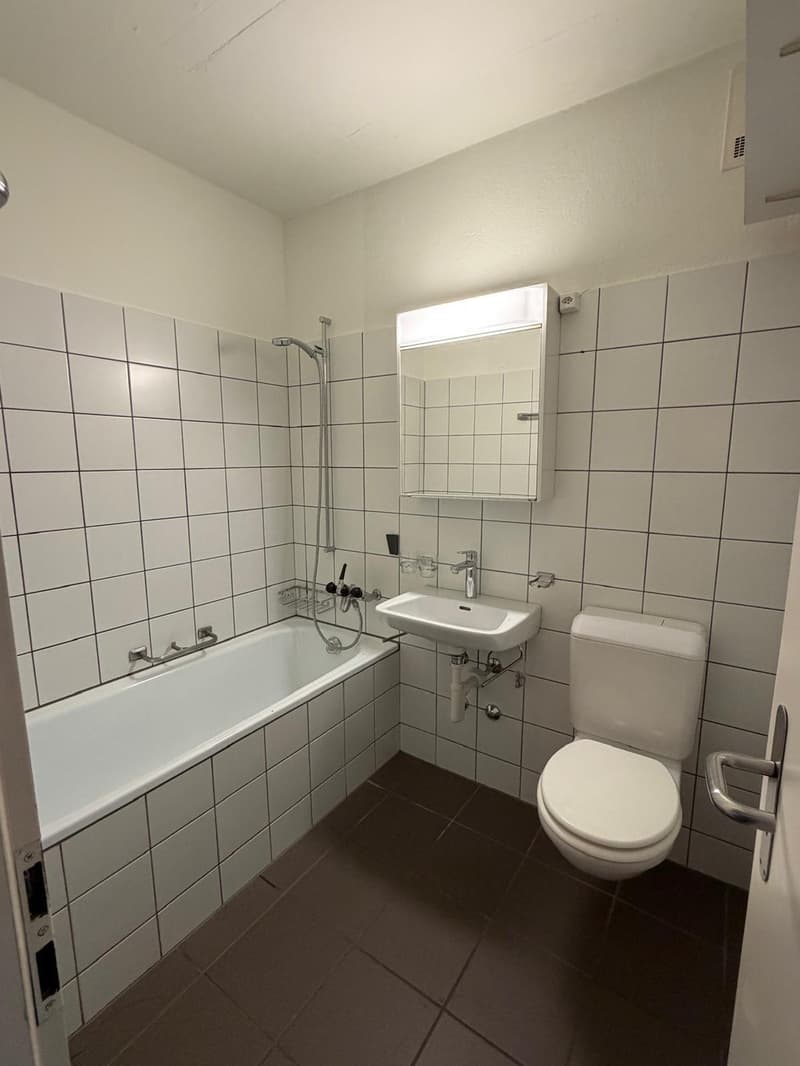 Open & bright 2.5br apartment in Seefeld from 1. Sept, 5min from Chinagarten, massive rooftop, CHF 2850.- (incl. NK) (10)