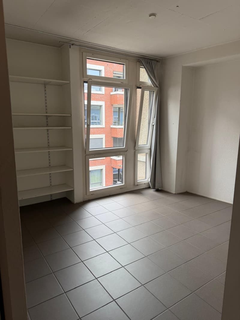 Open & bright 2.5br apartment in Seefeld from 1. Sept, 5min from Chinagarten, massive rooftop, CHF 2850.- (incl. NK) (8)