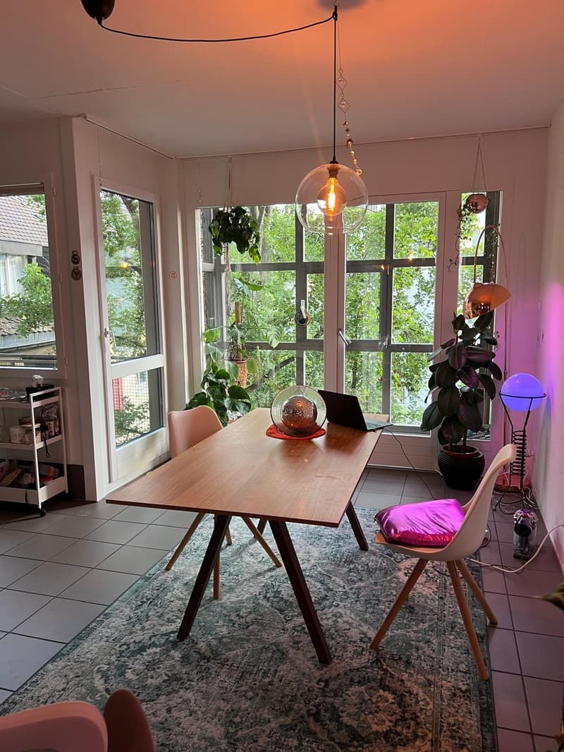 Open & bright 2.5br apartment in Seefeld from 1. Sept, 5min from Chinagarten, massive rooftop, CHF 2850.- (incl. NK) (1)