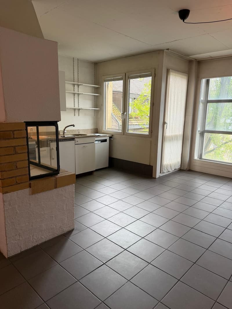 Open & bright 2.5br apartment in Seefeld from 1. Sept, 5min from Chinagarten, massive rooftop, CHF 2850.- (incl. NK) (9)