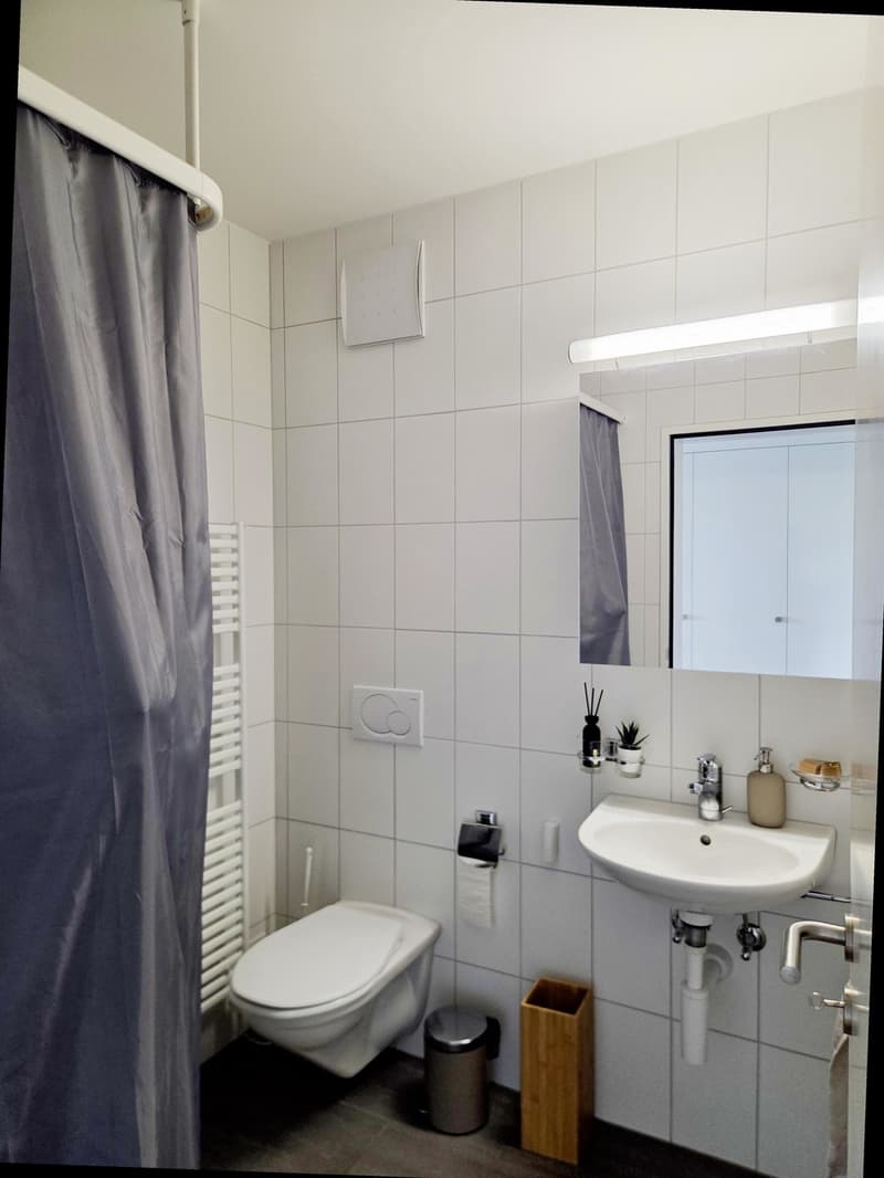 Nachmieter für helle 3.5-Zimmer-Wohnung mit Loggia an guter Lage in Suhr AG gesucht (12)