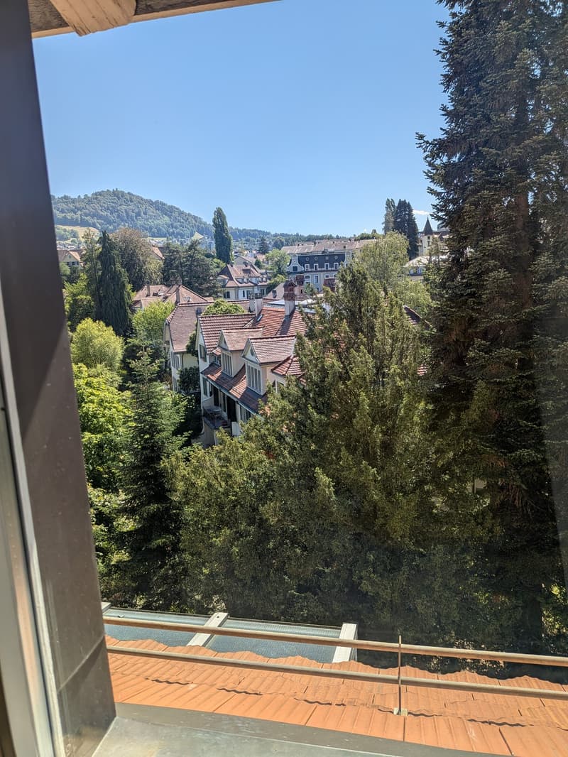 Nachmieter gesucht für wunderschöne, ruhige 100 m² Wohnung (2)