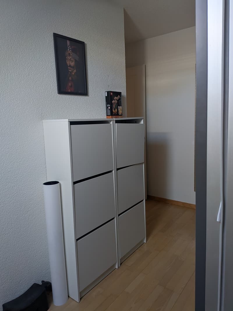 Nachmieter gesucht für wunderschöne, ruhige 100 m² Wohnung (3)
