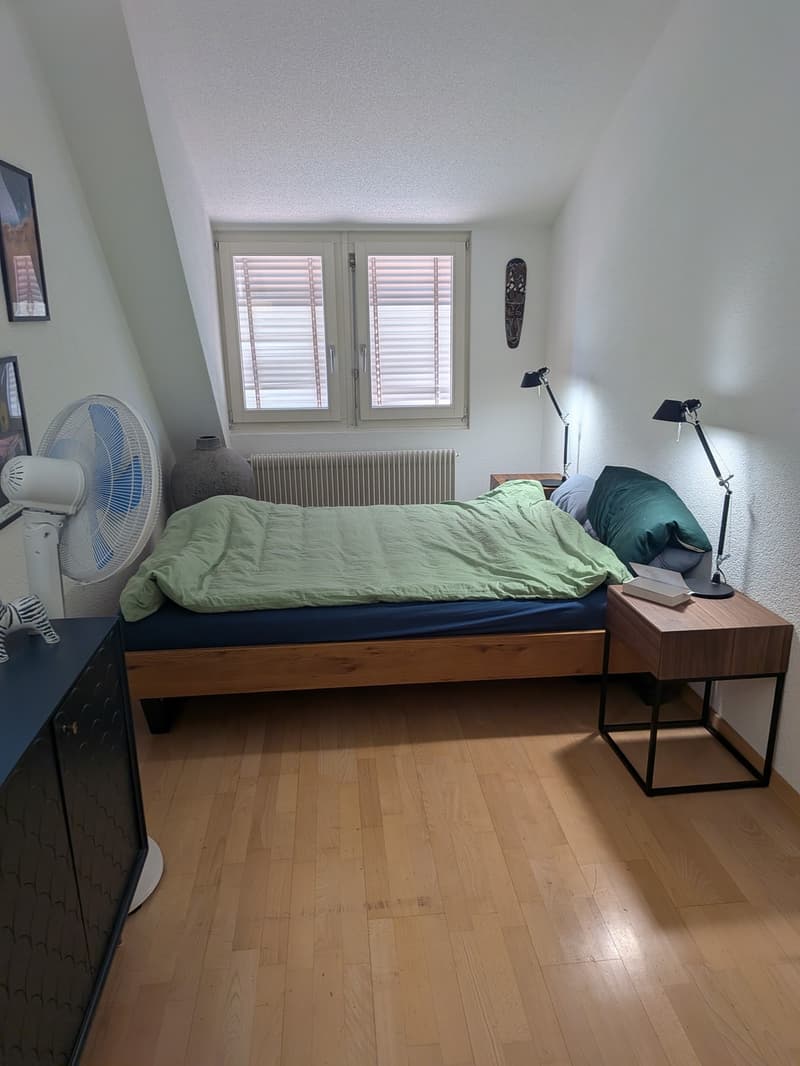 Nachmieter gesucht für wunderschöne, ruhige 100 m² Wohnung (8)