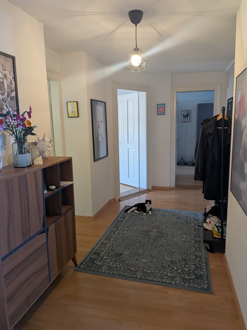 Nachmieter gesucht für wunderschöne, ruhige 100 m² Wohnung (9)