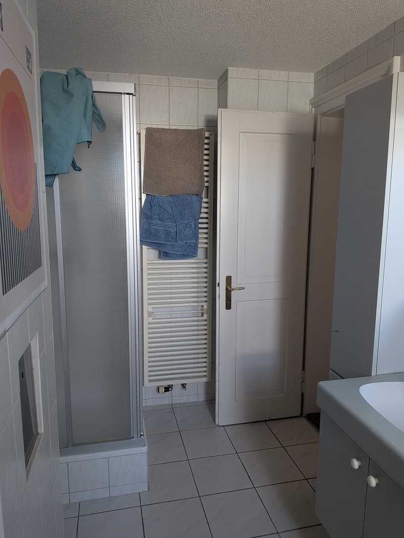 Nachmieter gesucht für wunderschöne, ruhige 100 m² Wohnung (10)