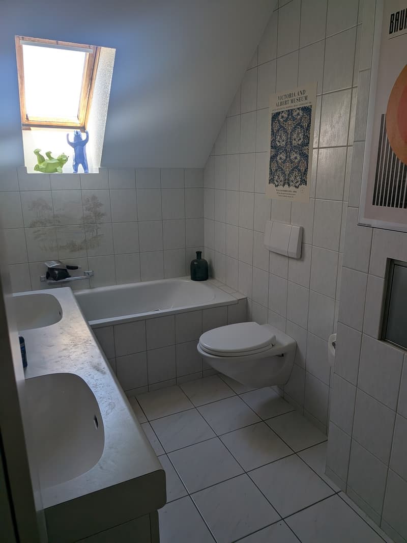 Nachmieter gesucht für wunderschöne, ruhige 100 m² Wohnung (4)