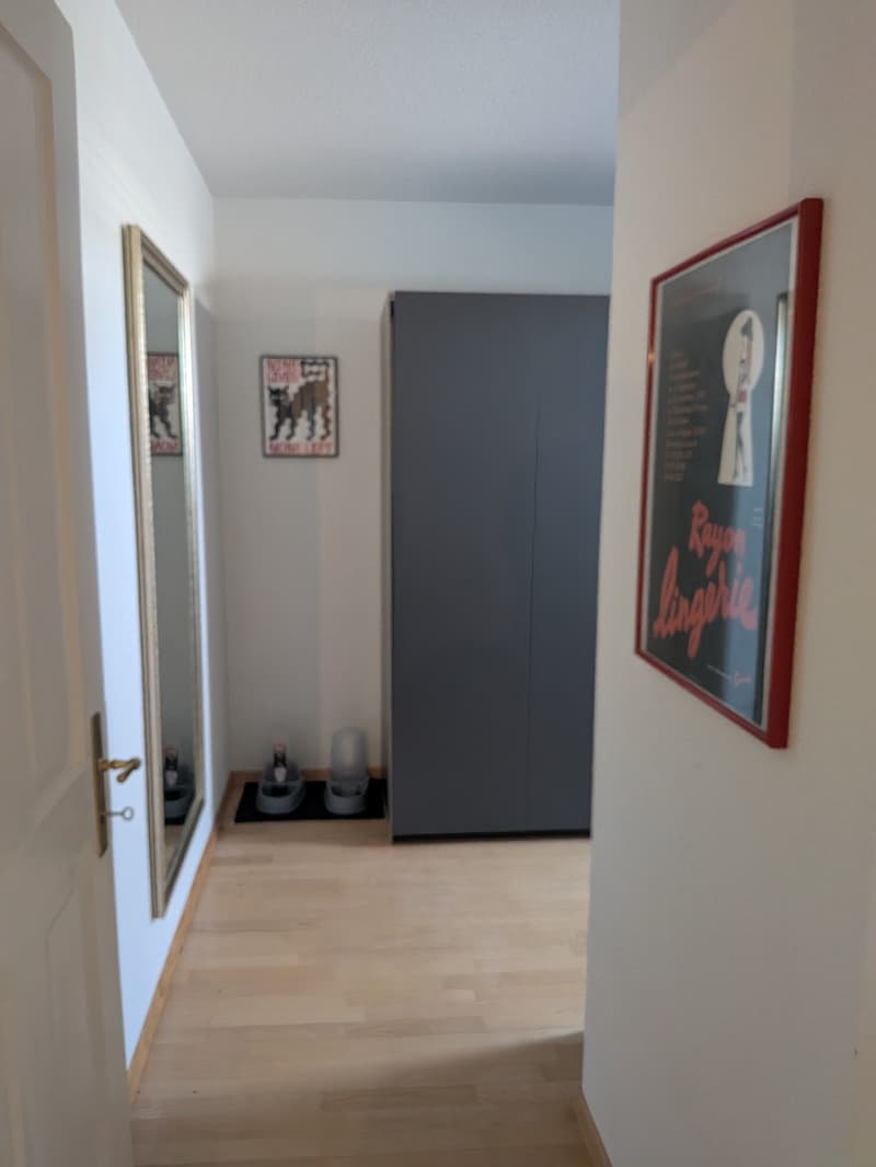 Nachmieter gesucht für wunderschöne, ruhige 100 m² Wohnung (6)