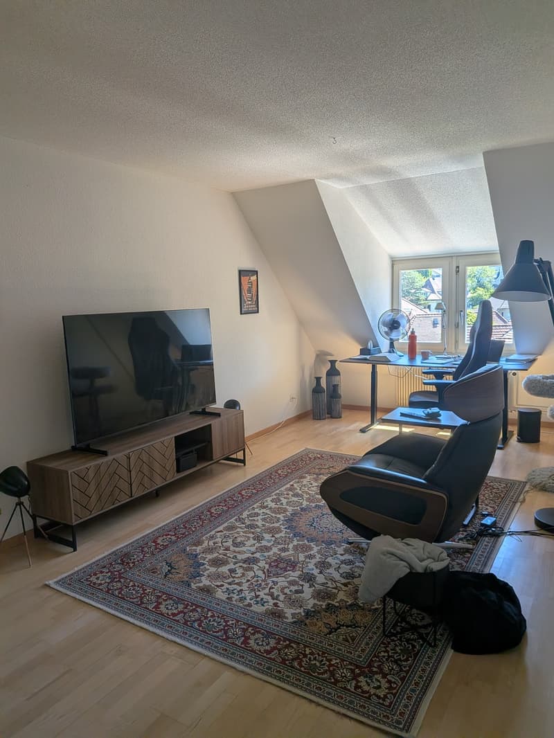 Nachmieter gesucht für wunderschöne, ruhige 100 m² Wohnung (13)