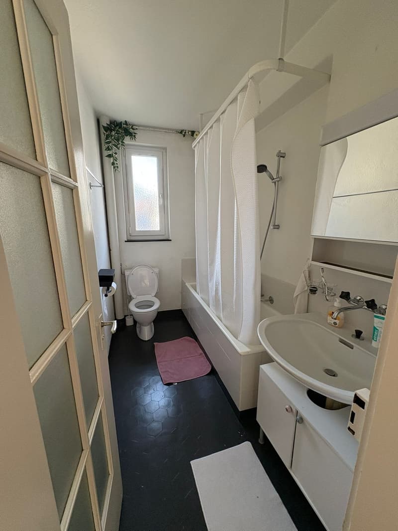 2 Bedroom in Wollishofen (3)