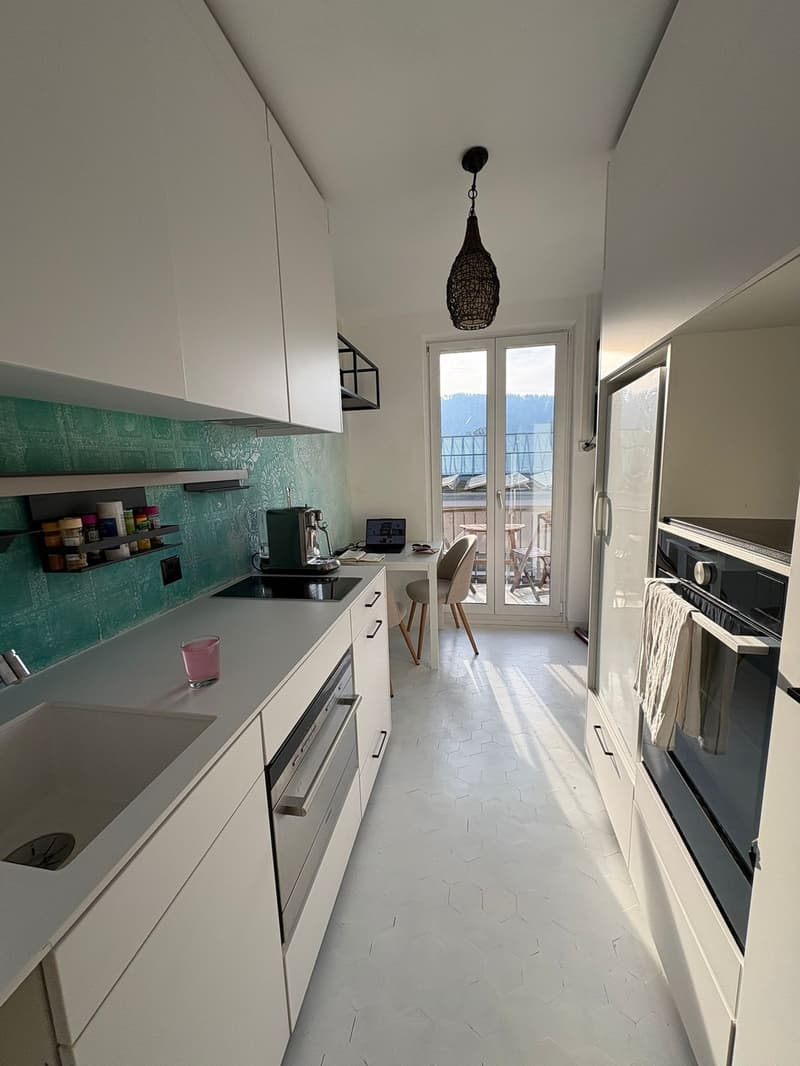 2 Bedroom in Wollishofen (4)