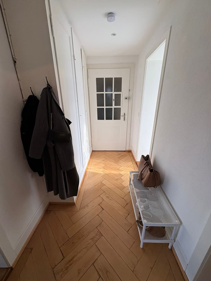 2 Bedroom in Wollishofen (2)
