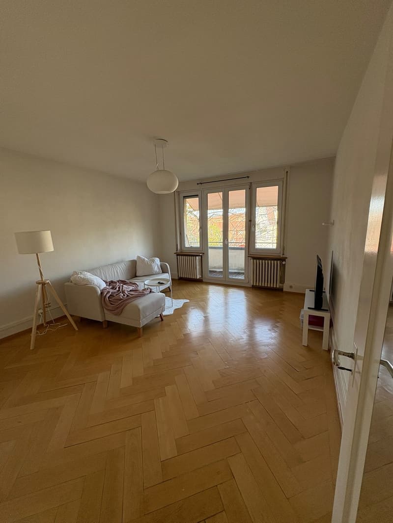 2 Bedroom in Wollishofen (1)