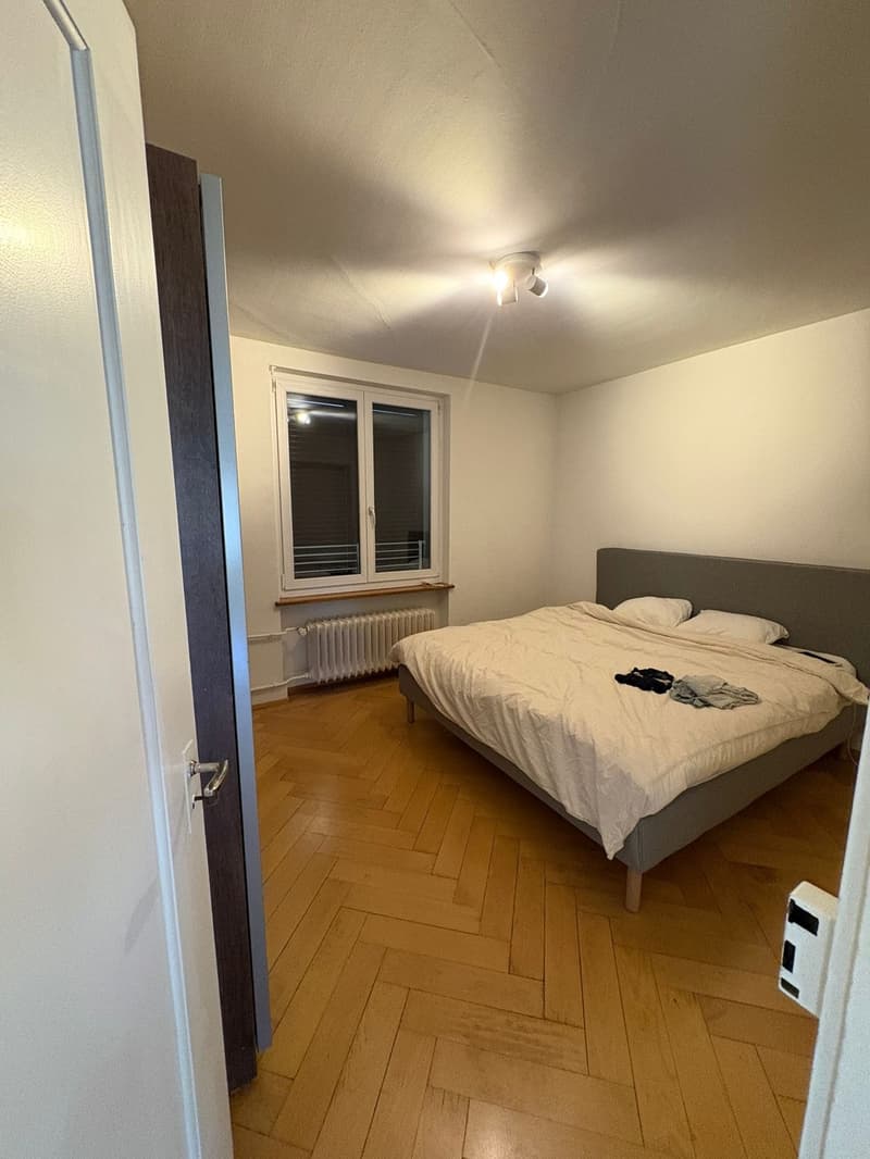 2 Bedroom in Wollishofen (5)