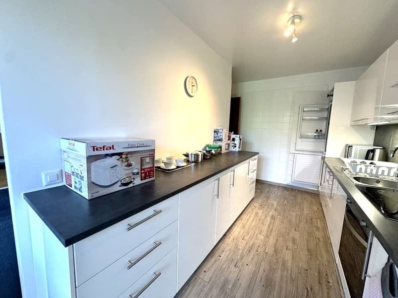 Furnished 4-Room Apartment with Private Terrace - Grand-Saconnex | Appartement meublé de 4 pièces avec terrasse privée (6)