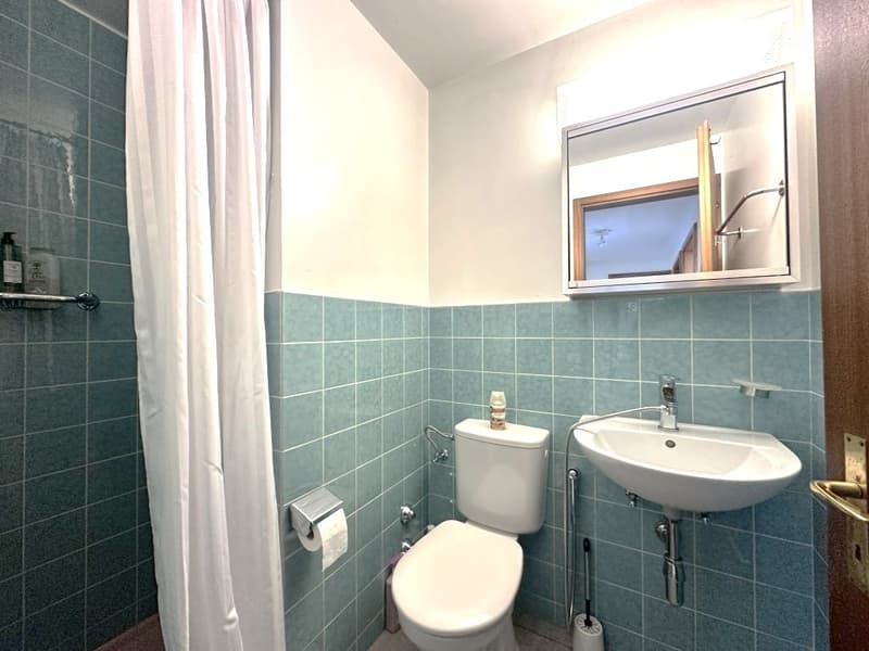 Furnished 4-Room Apartment with Private Terrace - Grand-Saconnex | Appartement meublé de 4 pièces avec terrasse privée (10)