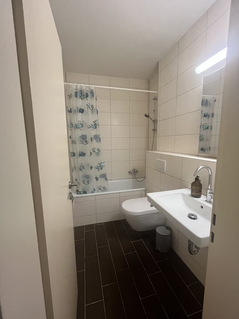 2.5 rooms - furnished dwelling (6)