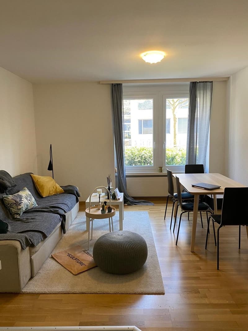 2.5 rooms - furnished dwelling (1)