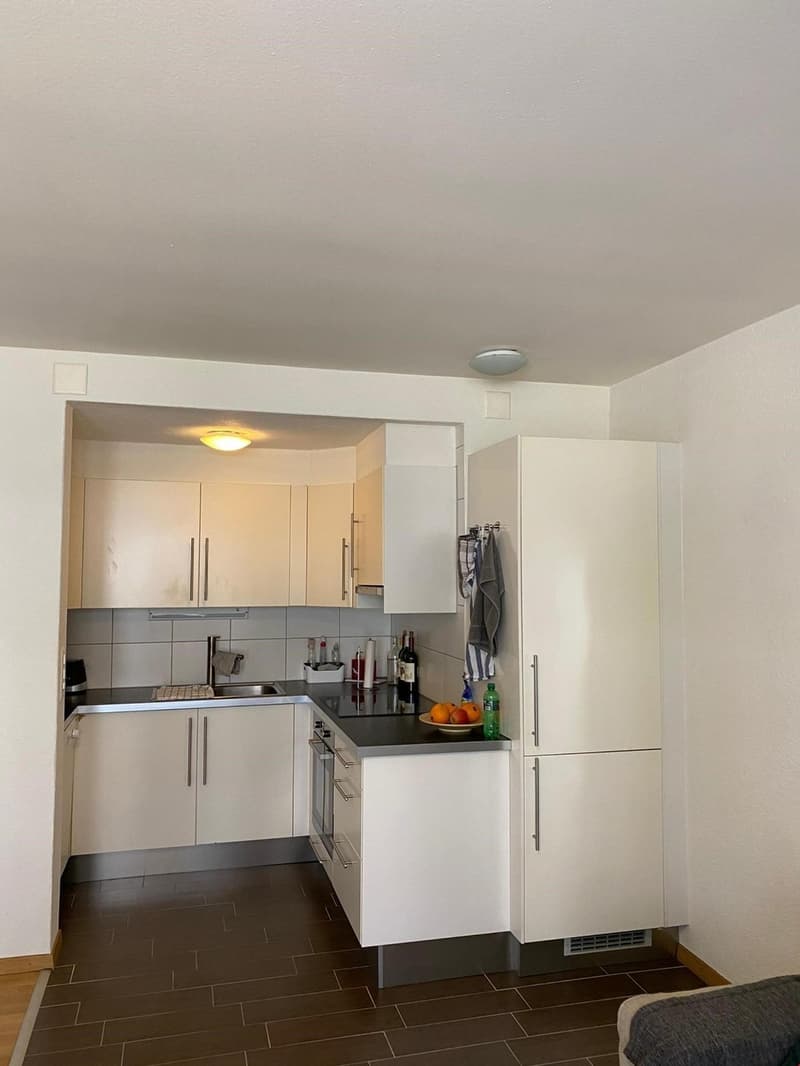 2.5 rooms - furnished dwelling (3)