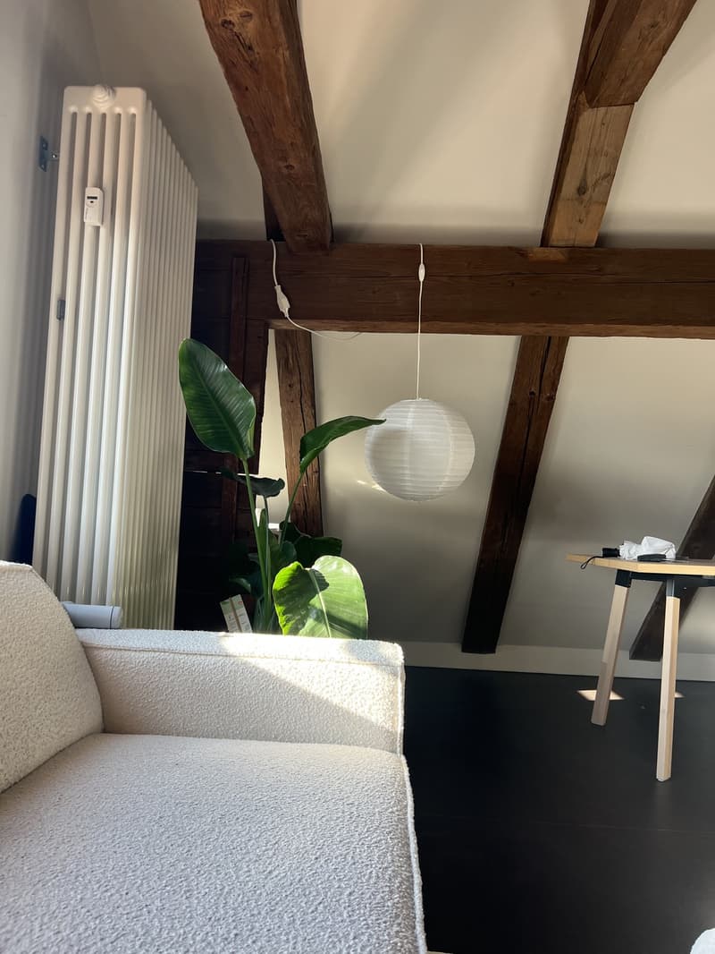 Modernisierte, heimelige Altbauwohnung | Möbliert | Zur Untermiete (5)