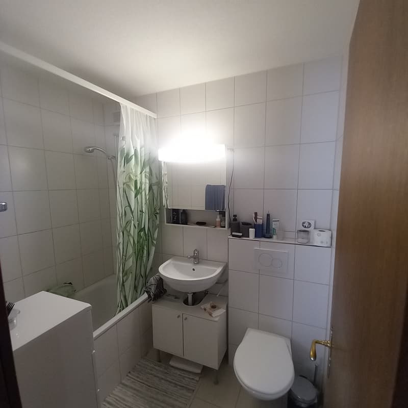 Nachmieter gesucht (7)