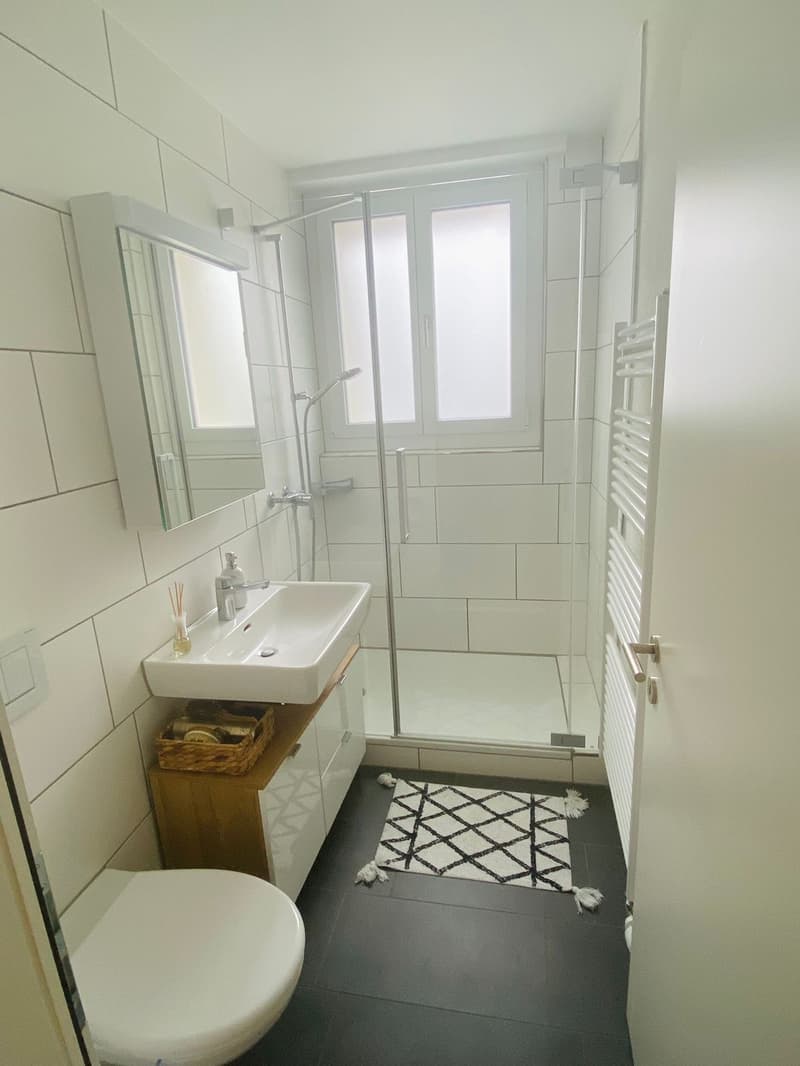 Cosy 2 Rooms Appartment Oerlikon (short time rental) (2)