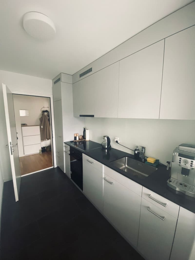 Cosy 2 Rooms Appartment Oerlikon (short time rental) (5)