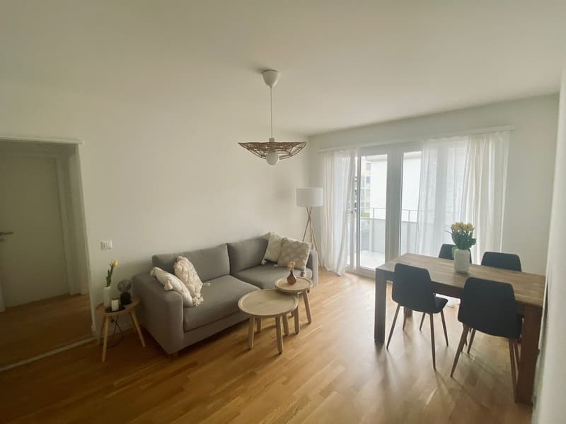 Cosy 2 Rooms Appartment Oerlikon (short time rental) (4)