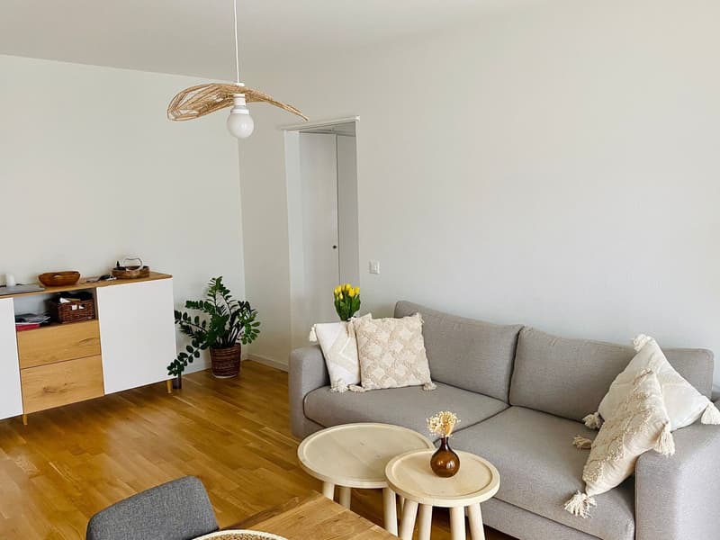 Cosy 2 Rooms Appartment Oerlikon (short time rental) (3)