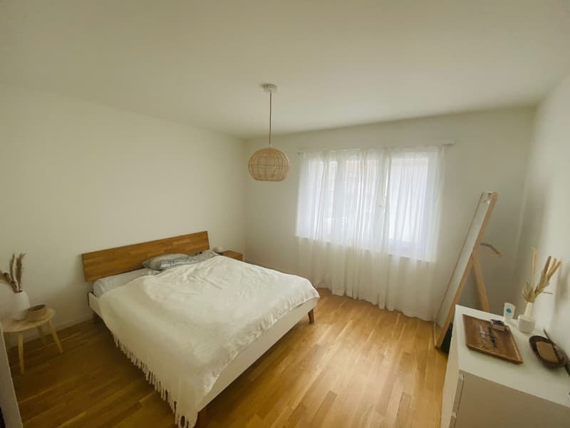 Cosy 2 Rooms Appartment Oerlikon (short time rental) (1)