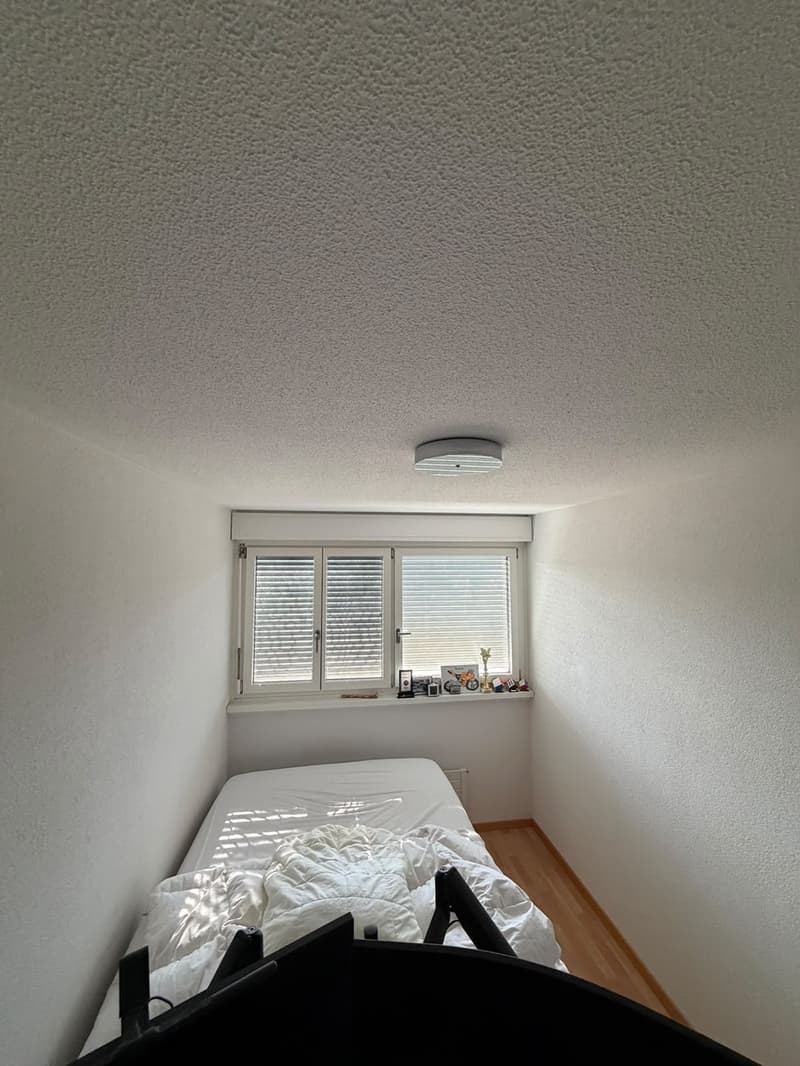 WG Zimmer in 3-er WG (3)