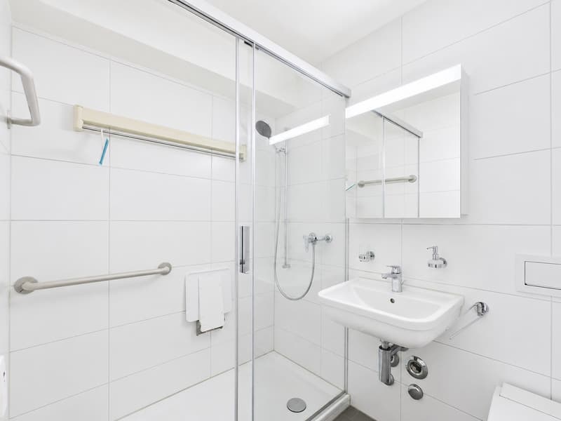 LICHTDURCHFLUTETE 4.5-ZIMMER-WOHNUNG MIT WEITSICHT (4)