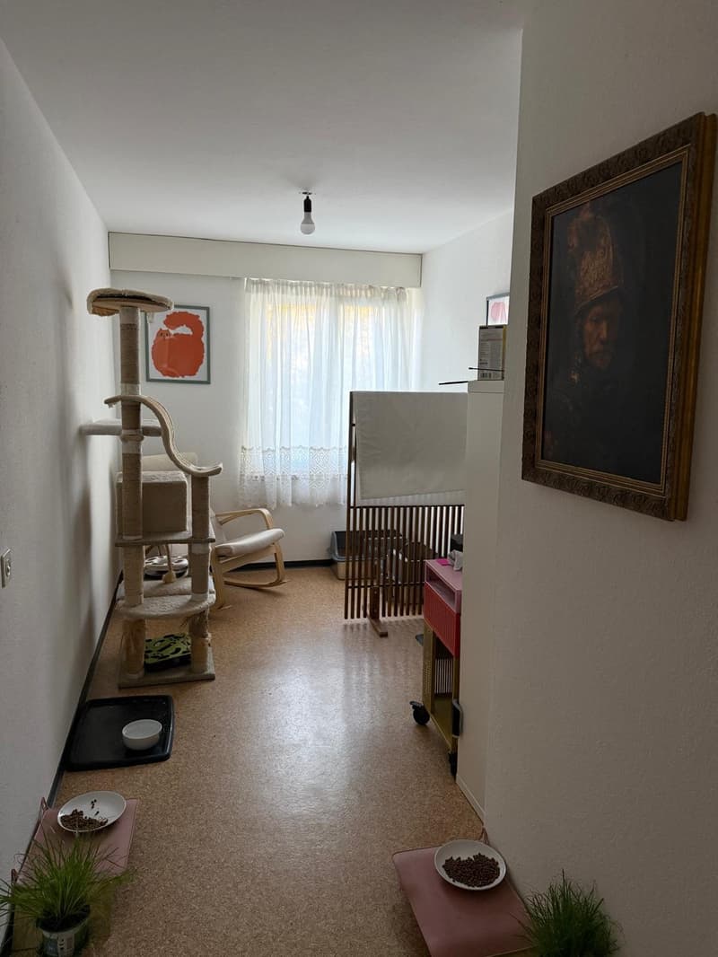 Geräumige & günstige 3.5 Zimmerwohnung in Belp (6)