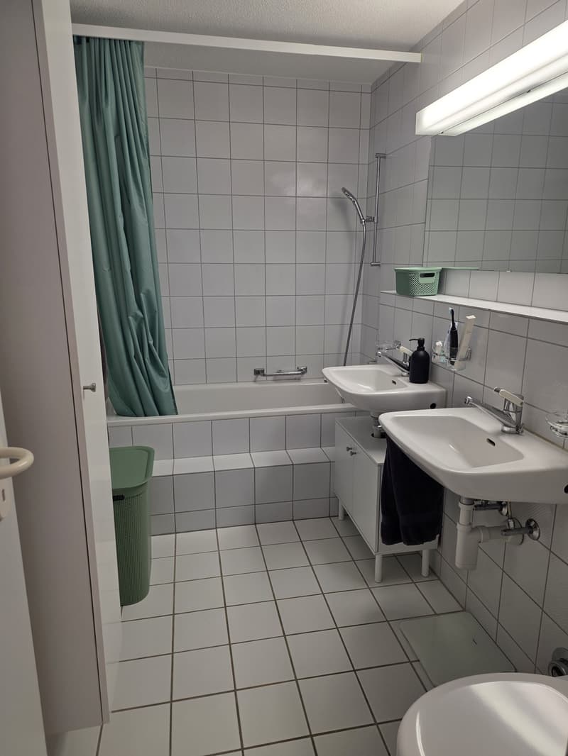 2.5 Zimmer Wohnung (4)