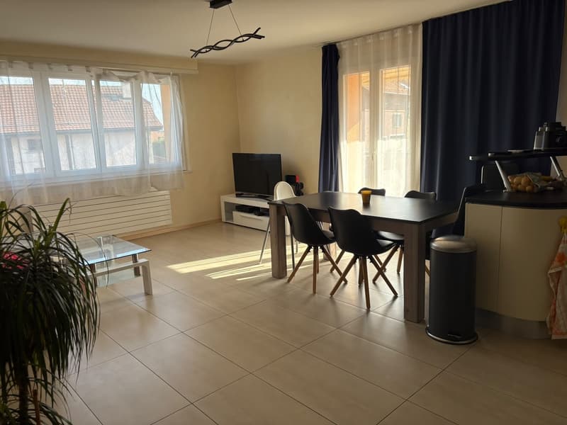 Appartement 4 ½ pièces, 1054 Morrens (11)