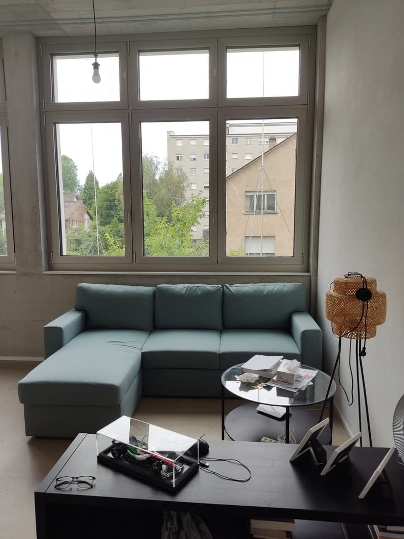 1 1/2 Rooms Apartment (1)