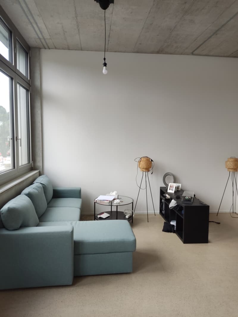 1 1/2 Rooms Apartment (7)
