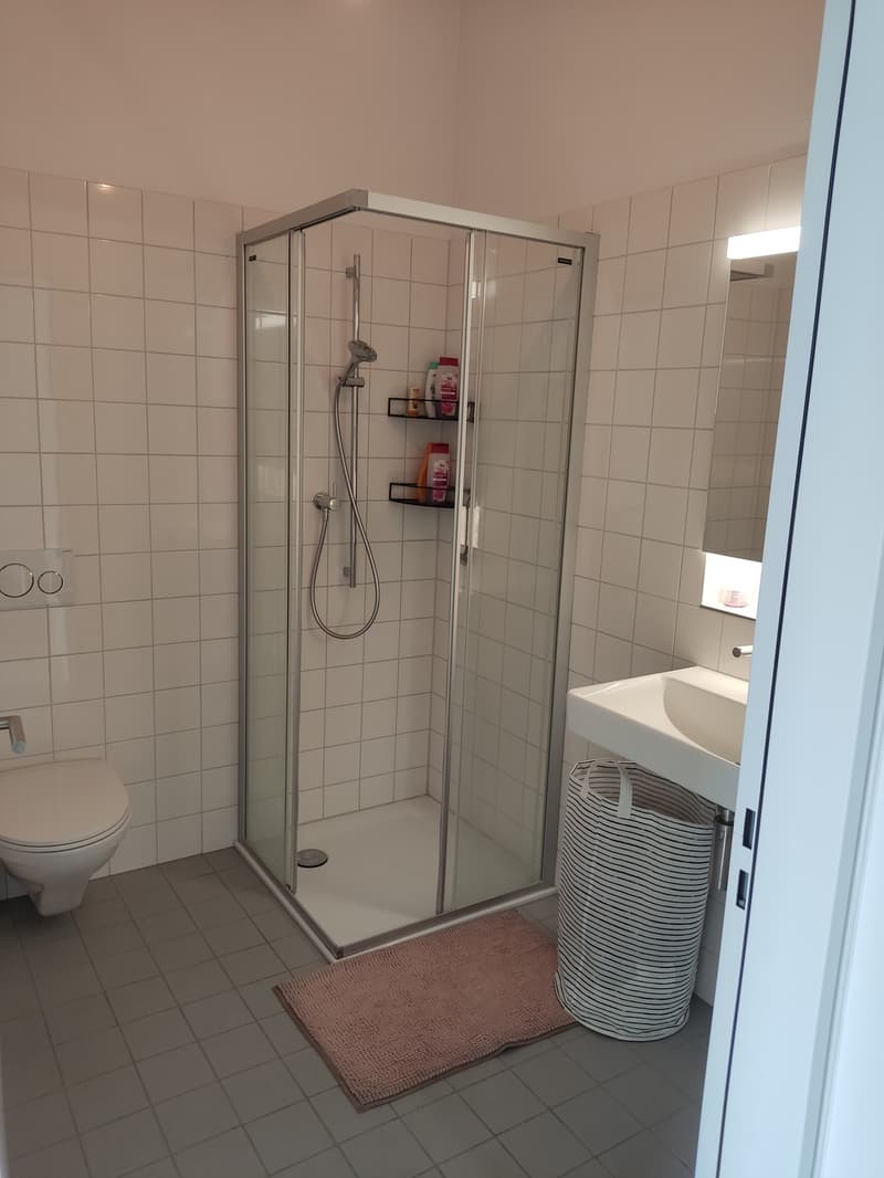 1 1/2 Rooms Apartment (10)