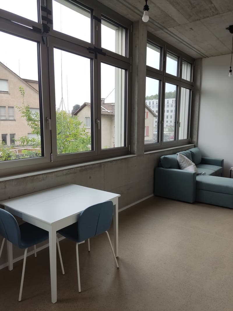 1 1/2 Rooms Apartment (6)