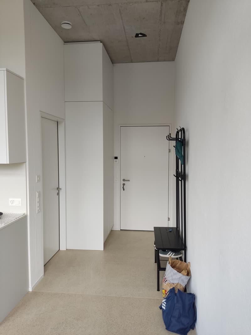 1 1/2 Rooms Apartment (2)