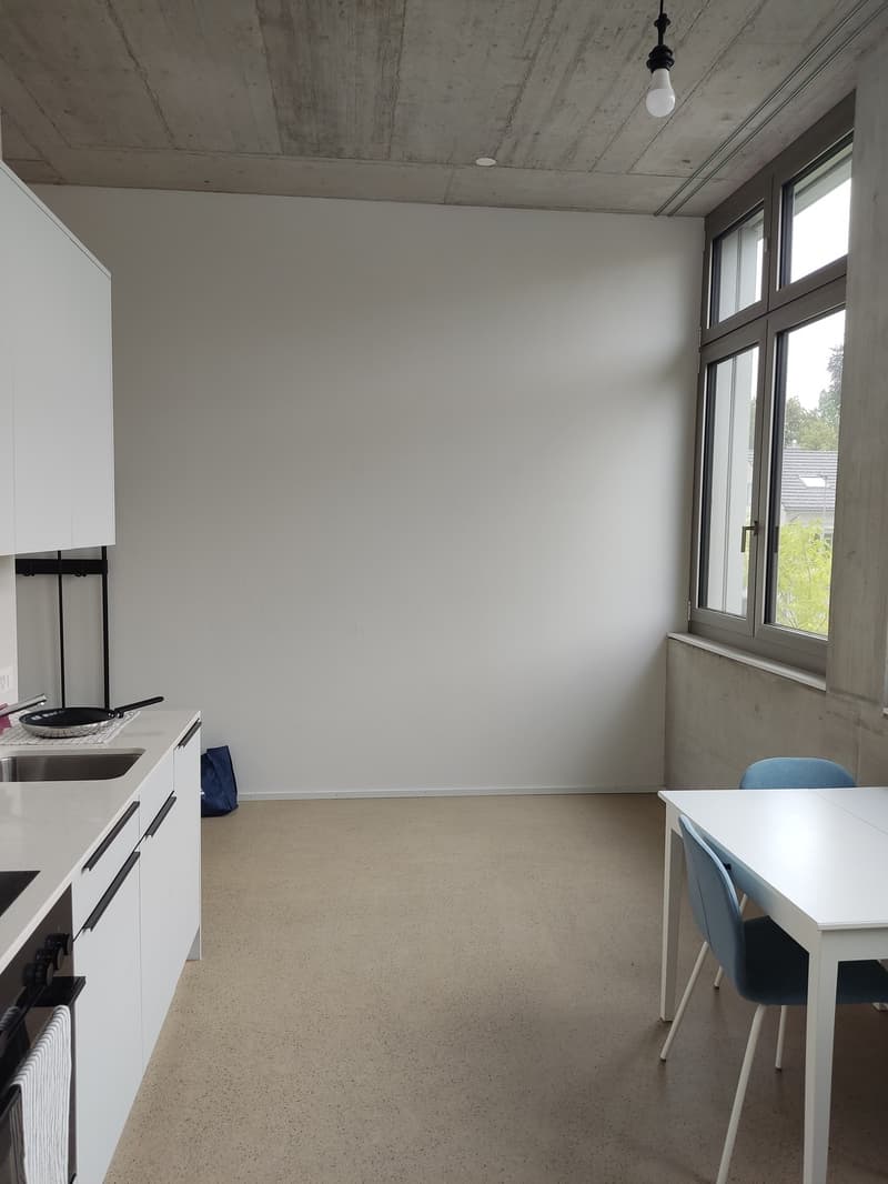 1 1/2 Rooms Apartment (3)