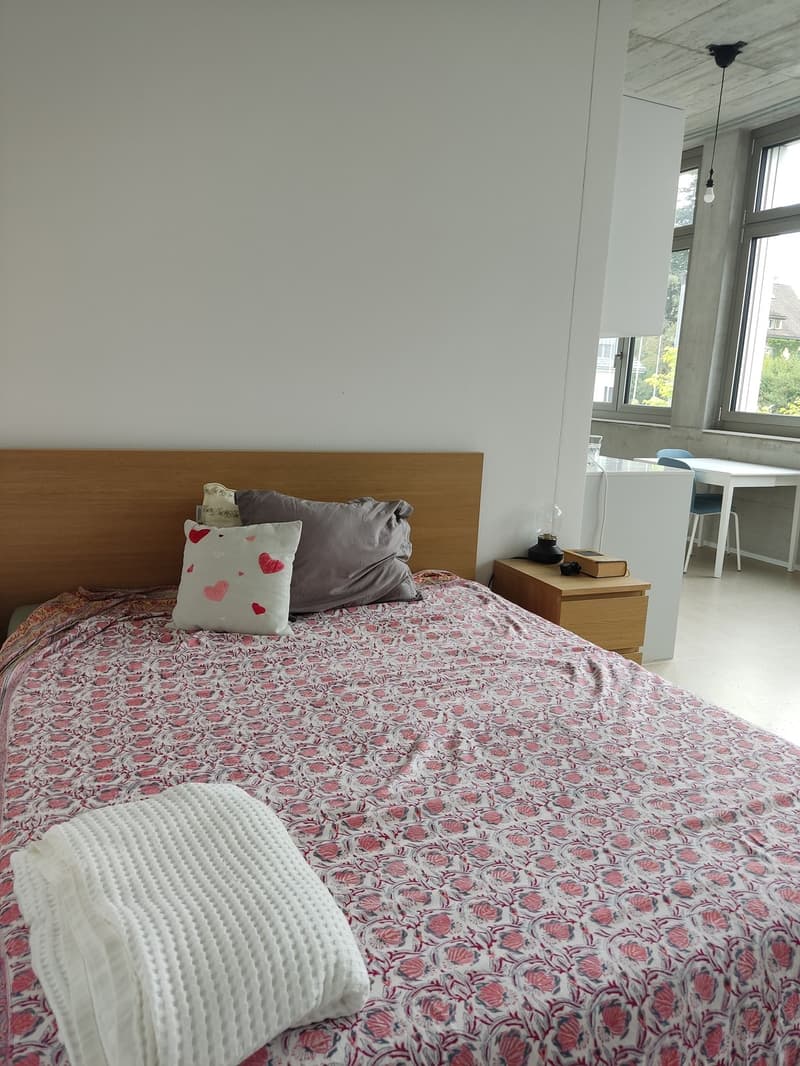 1 1/2 Rooms Apartment (9)