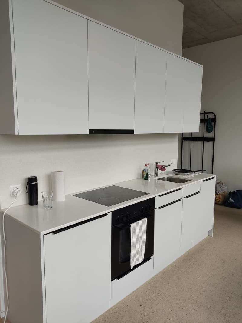 1 1/2 Rooms Apartment (4)