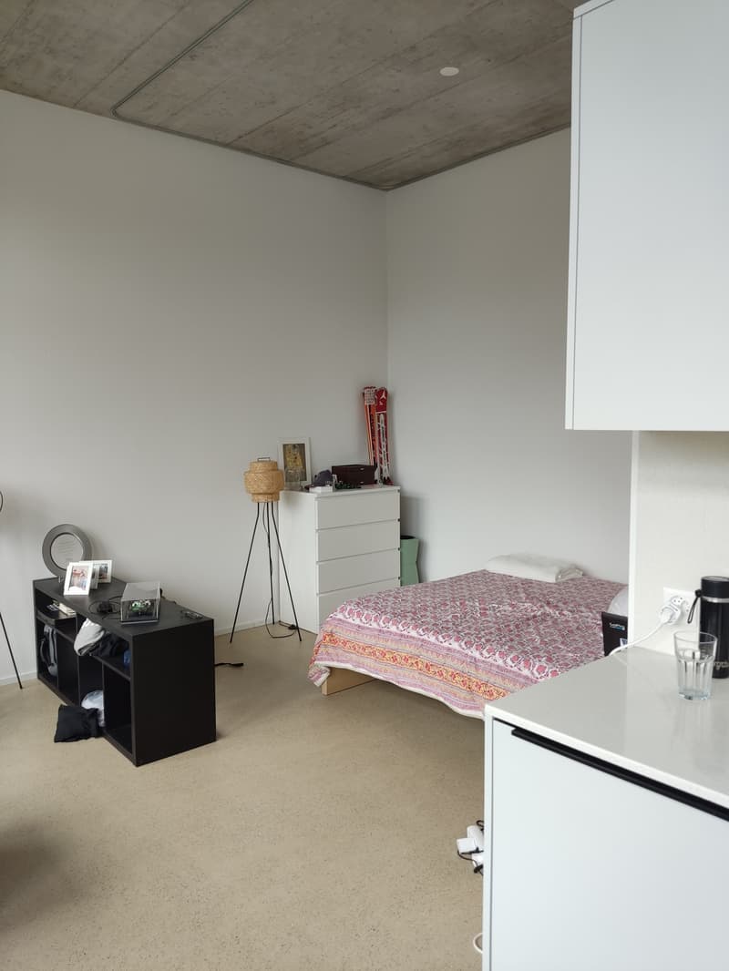 1 1/2 Rooms Apartment (8)