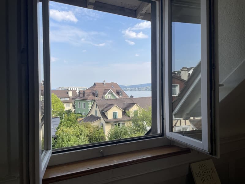 Dachwohnung in Thalwil in Seenähe (11)