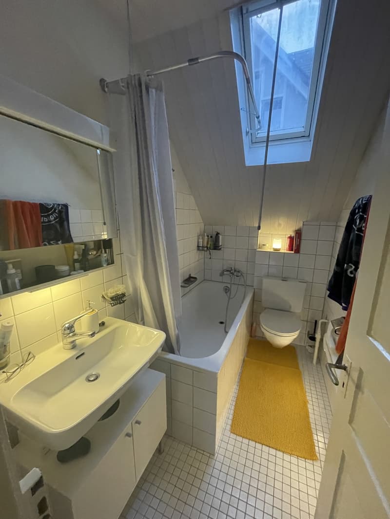 Dachwohnung in Thalwil in Seenähe (10)